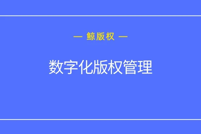 还在手动Excel管理版权？你的自动版权管理系统上线了