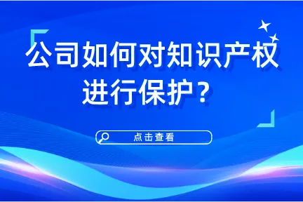 公司如何对知识产权进行保护？