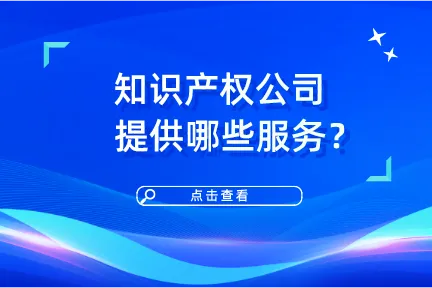 知识产权公司提供哪些服务？