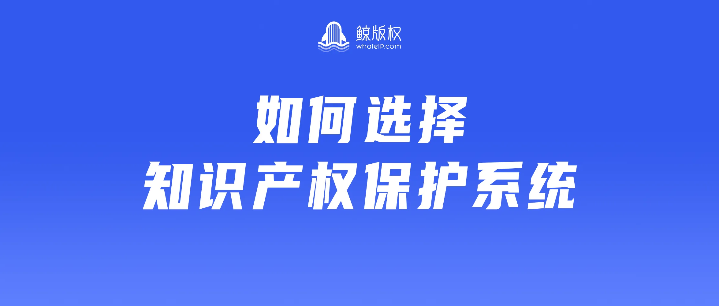 如何选择知识产权保护系统？